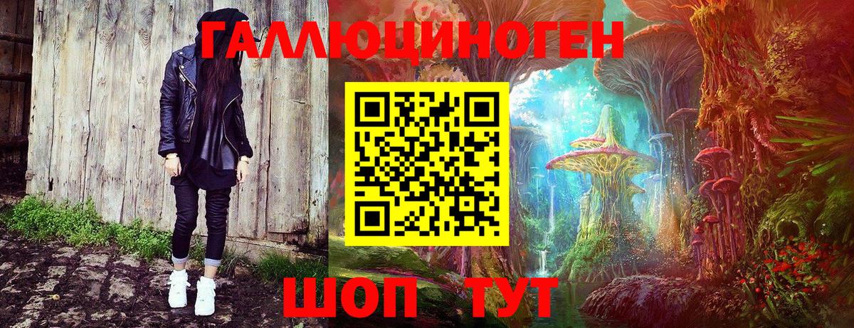 Галлюциногенные грибы Psilocybine cubensis Вичуга